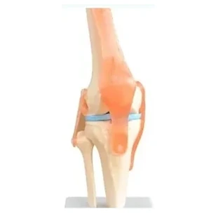Radiography test phantom 7200