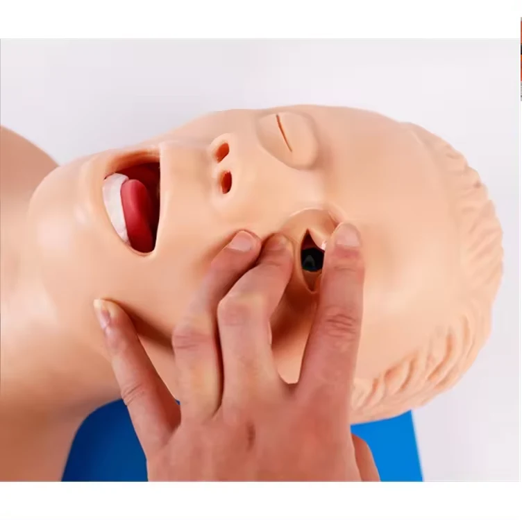 Cpr Manikin Price In Karachi