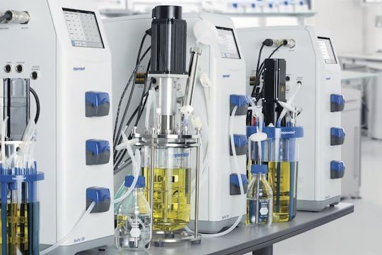 Batch bioreactor BioFlo® 120 image 5