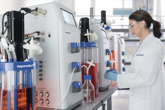 Batch bioreactor BioFlo® 120 image 6