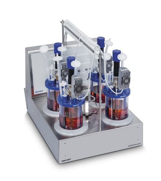 Batch bioreactor DASGIP® image 4