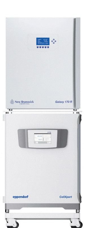 Cell culture laboratory incubator CellXpert® C170i image 2