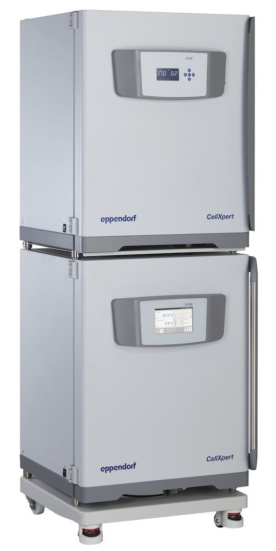 Cell culture laboratory incubator CellXpert® C170i image 4