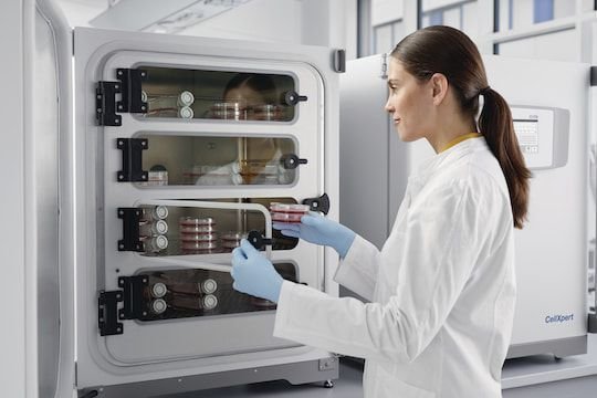 Cell culture laboratory incubator CellXpert® C170i image 6