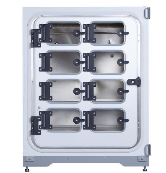Cell culture laboratory incubator CellXpert® C170i image 7