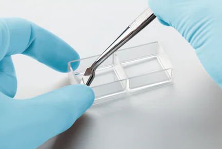 Cell imaging microplate 00307420 series image 6