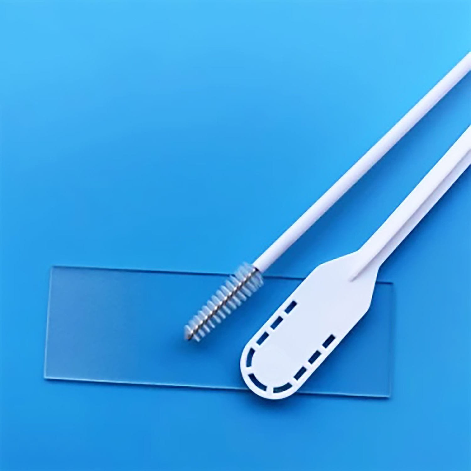 Cervical cytology brush II image 3