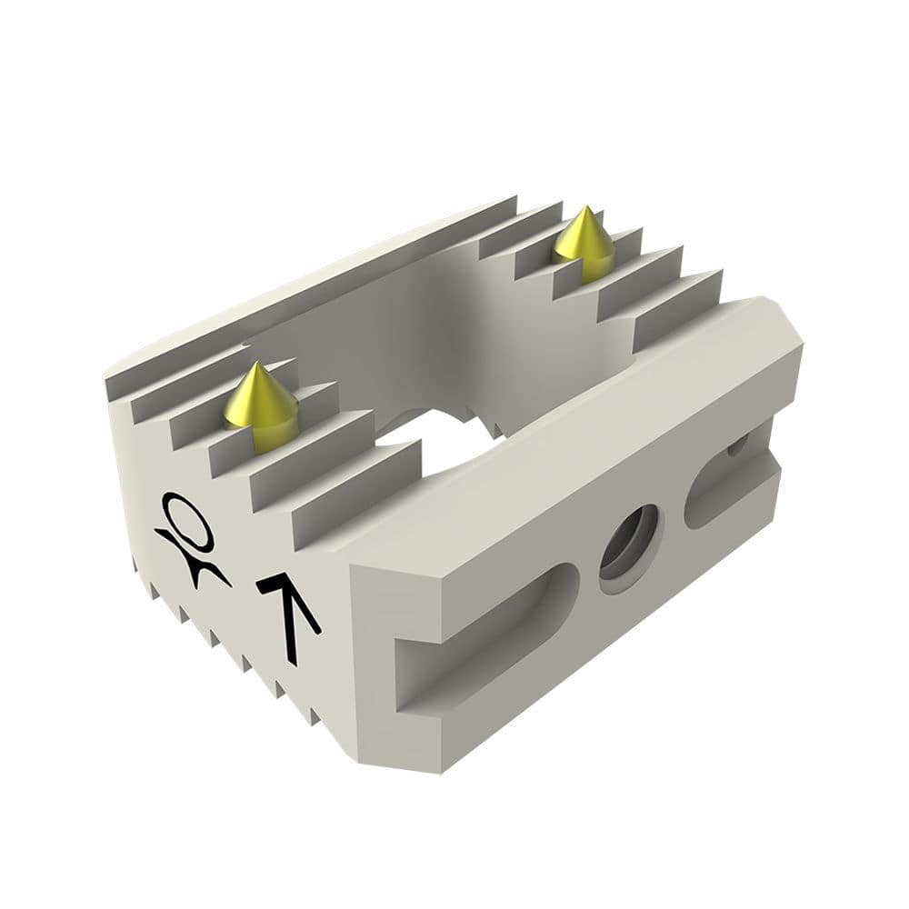 Cervical interbody fusion cage BIA image 3