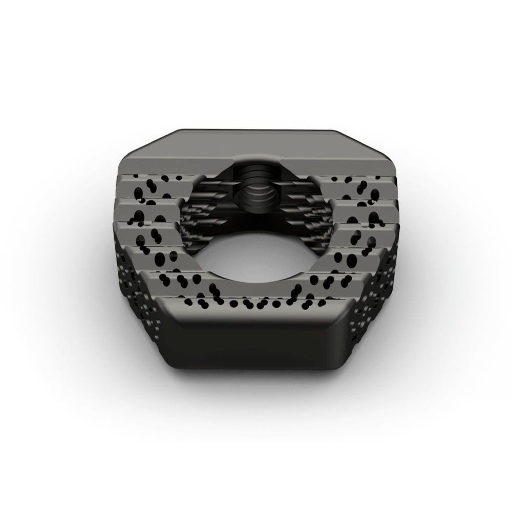 Cervical interbody fusion cage TERRACOTTA-C