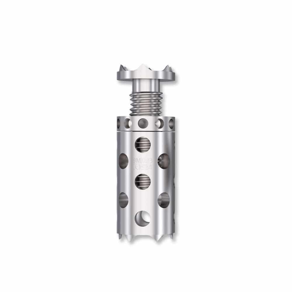 Cervical vertebral corpectomy prosthesis X-MESH