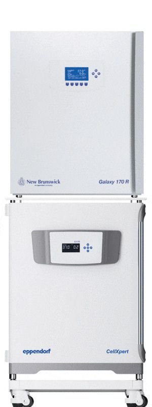 CO2 laboratory incubator CellXpert® C170 alternate view image 2