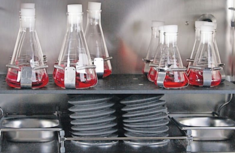CO2 laboratory incubator New Brunswick™ S41i image 4
