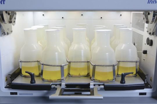 Compact laboratory incubator Innova® S44i image 4