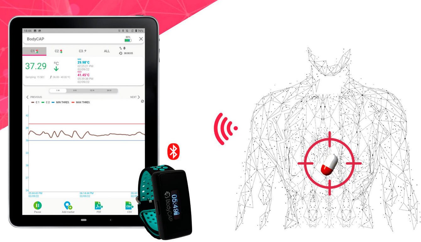Compact monitoring capsule eCelsius Performance Connect
