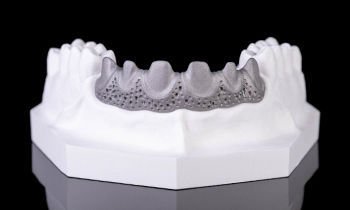 Composite dental material Metal Opaquer alternate view image 2