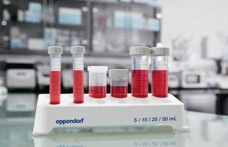 Conical test tube 00301 series image 5