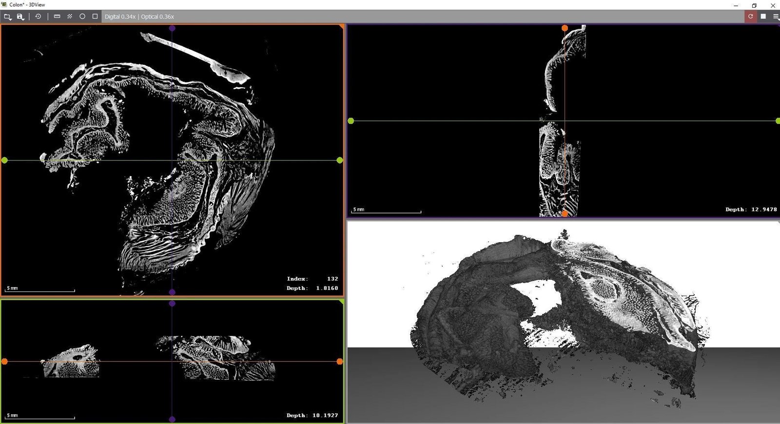 Control software 3DView image 5