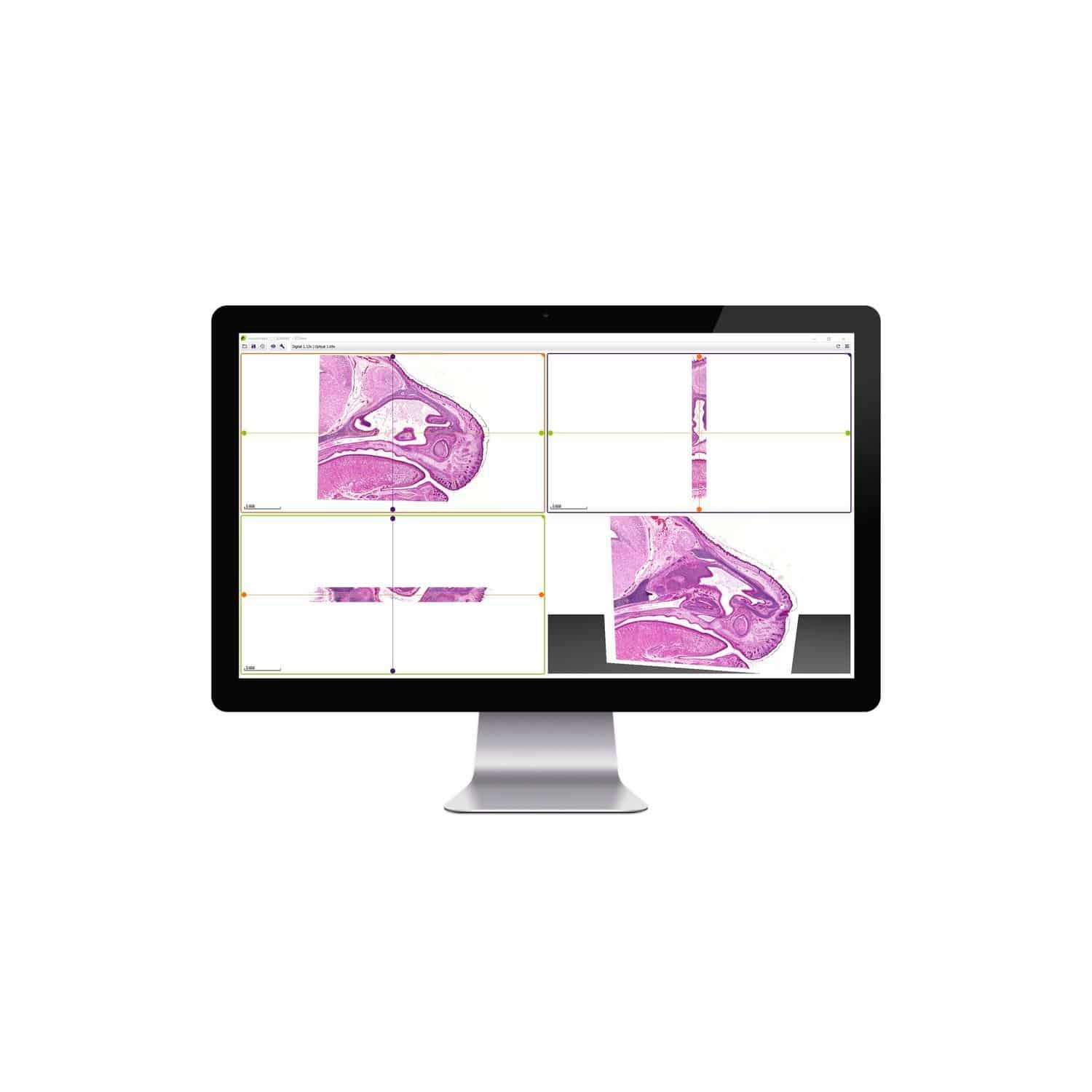 Control software 3DView