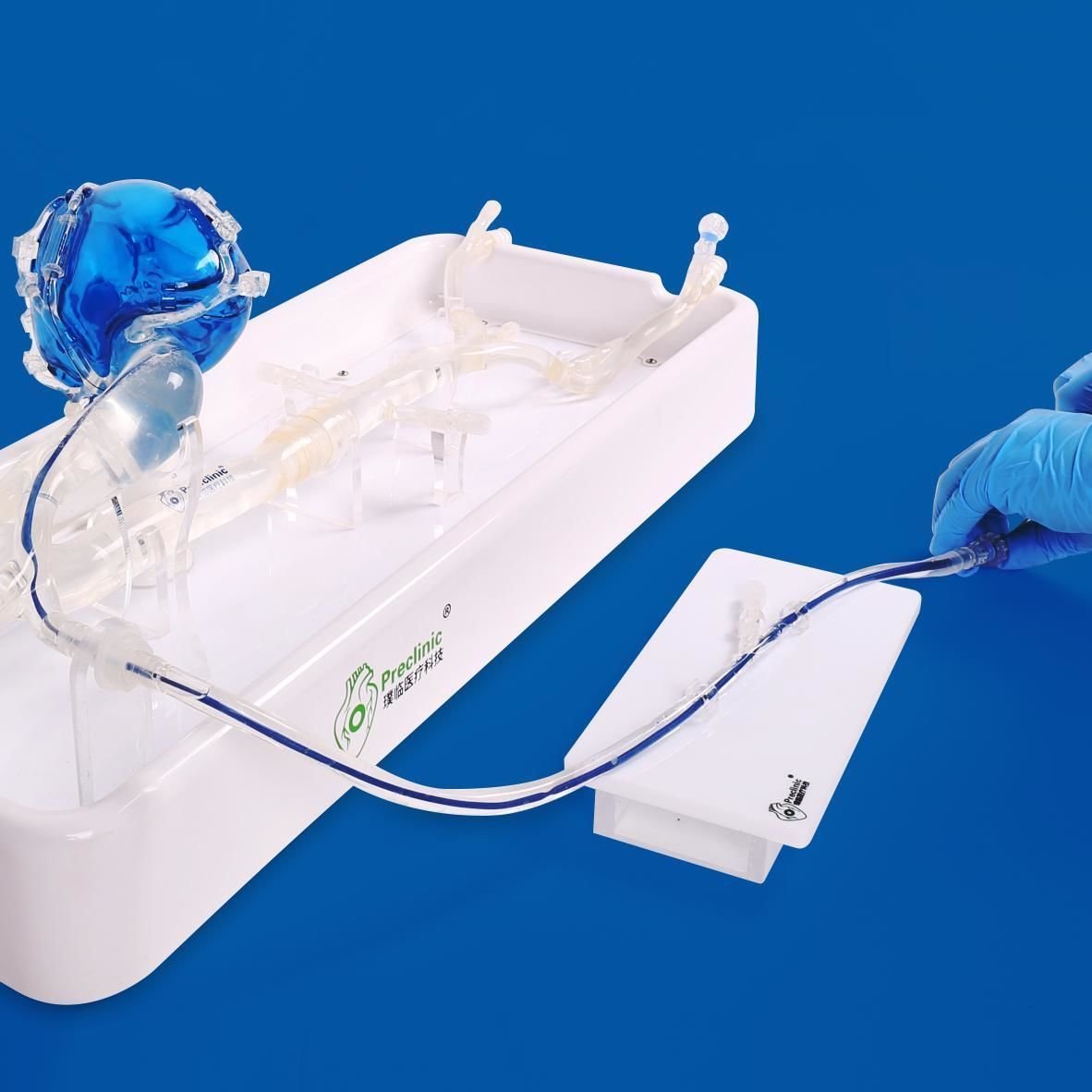 Coronary arteries vascular model PLXG1001 image 3