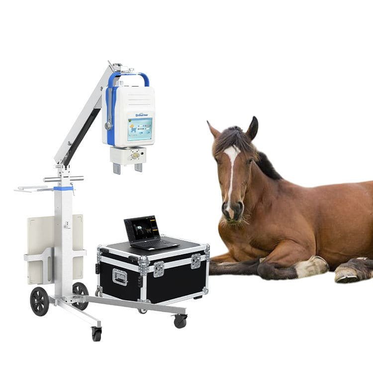 Digital veterinary X-ray system Beatle-06P1(Vet-S) image 3