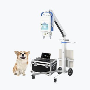 Digital veterinary X-ray system Beatle-06P1(Vet-S)