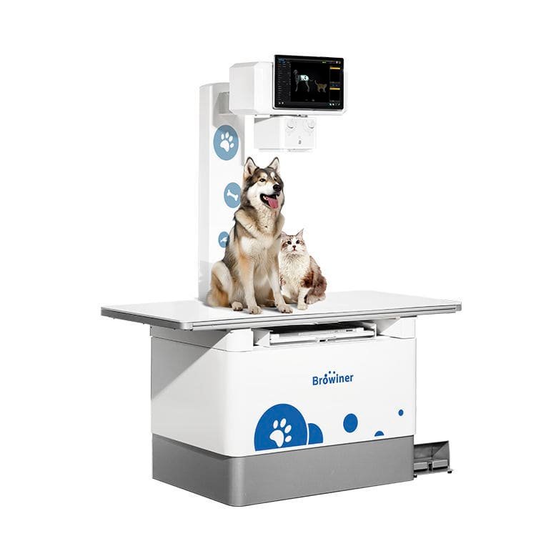 Digital veterinary X-ray system VX200