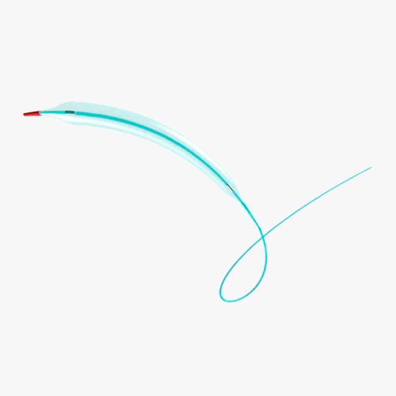 Dilatation catheter Saule™
