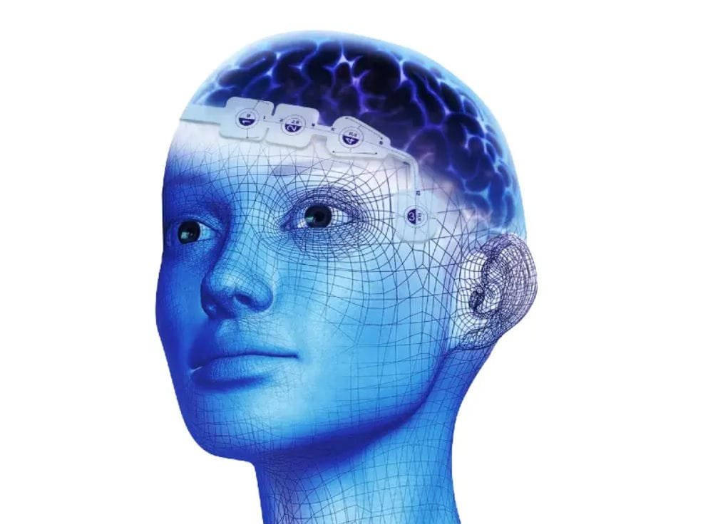 EEG electrode 186-0106 image 4
