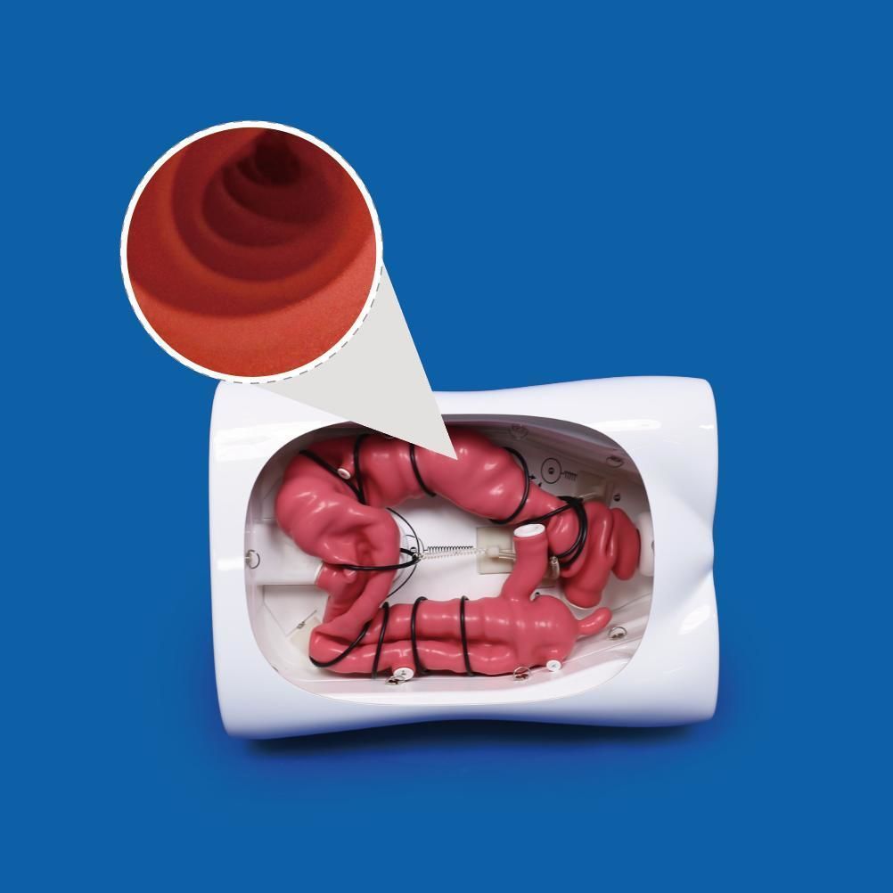 Endoscopic training simulator PLXH1001 image 2