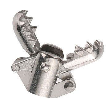 Endoscopy forceps BF alternate view image 2