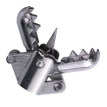 Endoscopy forceps BF image 3