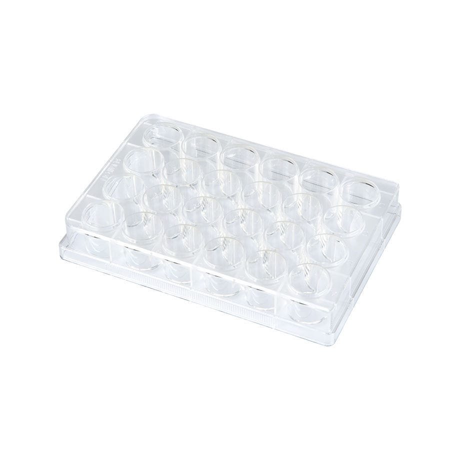Fluorescence microplate PrimeSurface® alternate view image 2