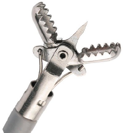 Gastroscopy forceps BF series image 2