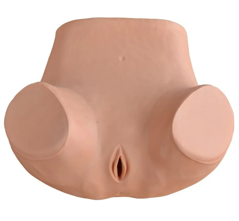 Midwifery Training Manikin Simulator