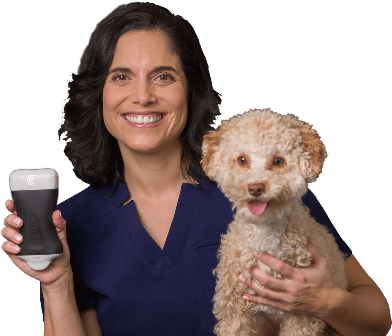 Hand-held veterinary ultrasound system C7 HD3 Vet image 3