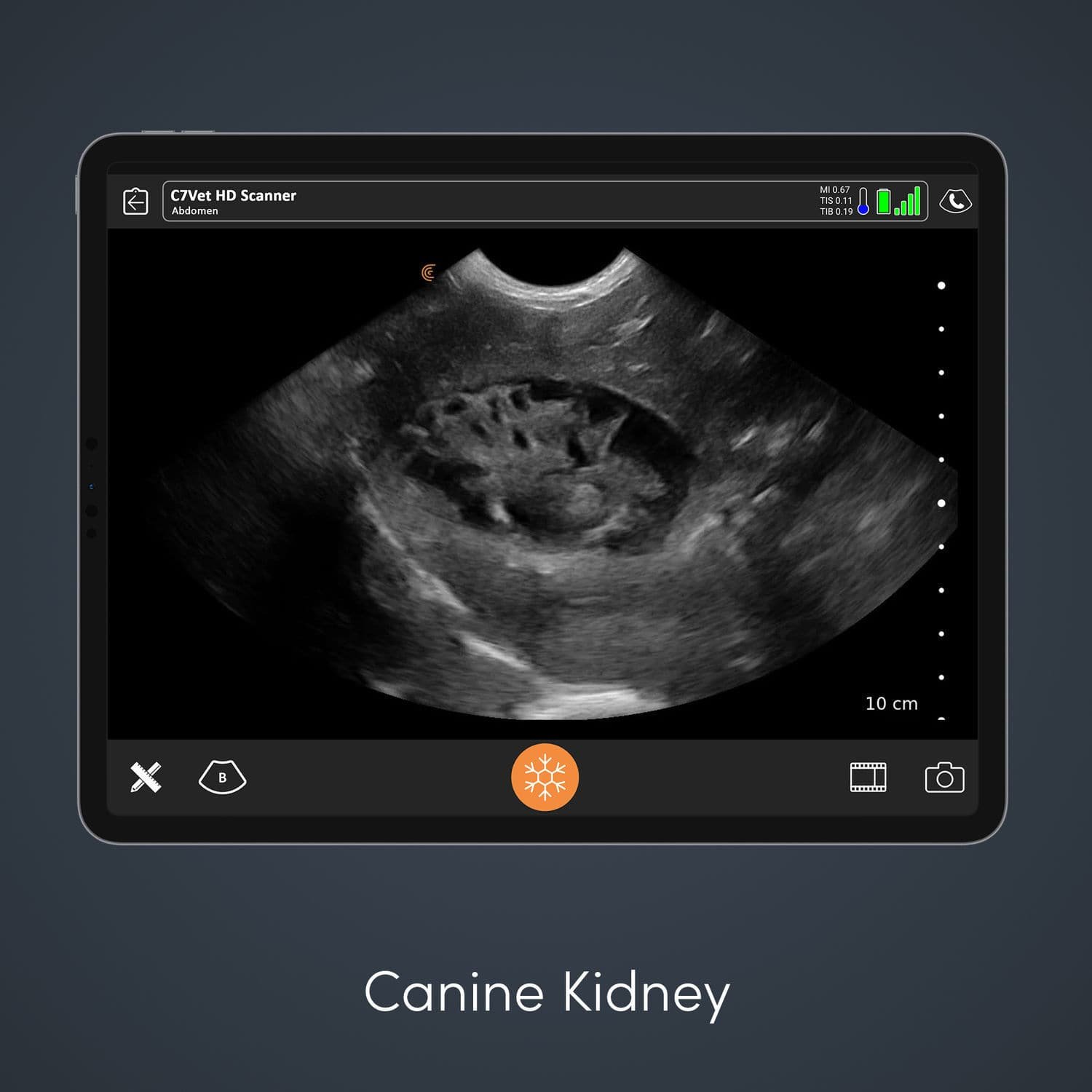 Hand-held veterinary ultrasound system C7 HD3 Vet image 4