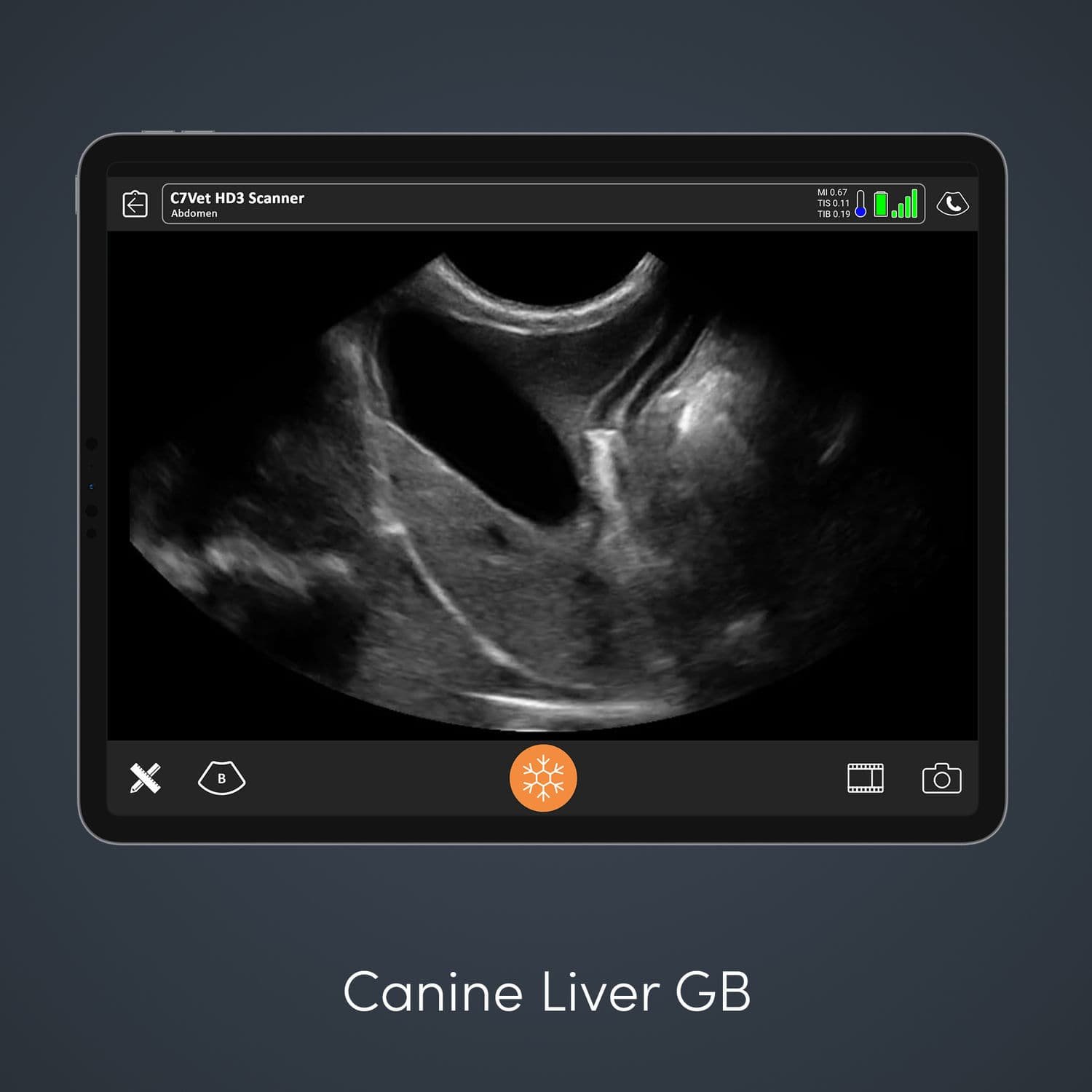 Hand-held veterinary ultrasound system C7 HD3 Vet image 5