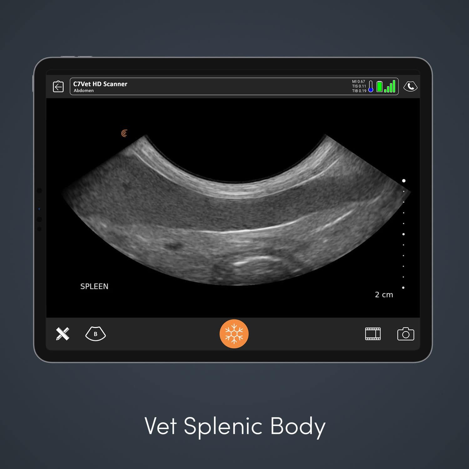 Hand-held veterinary ultrasound system C7 HD3 Vet image 6