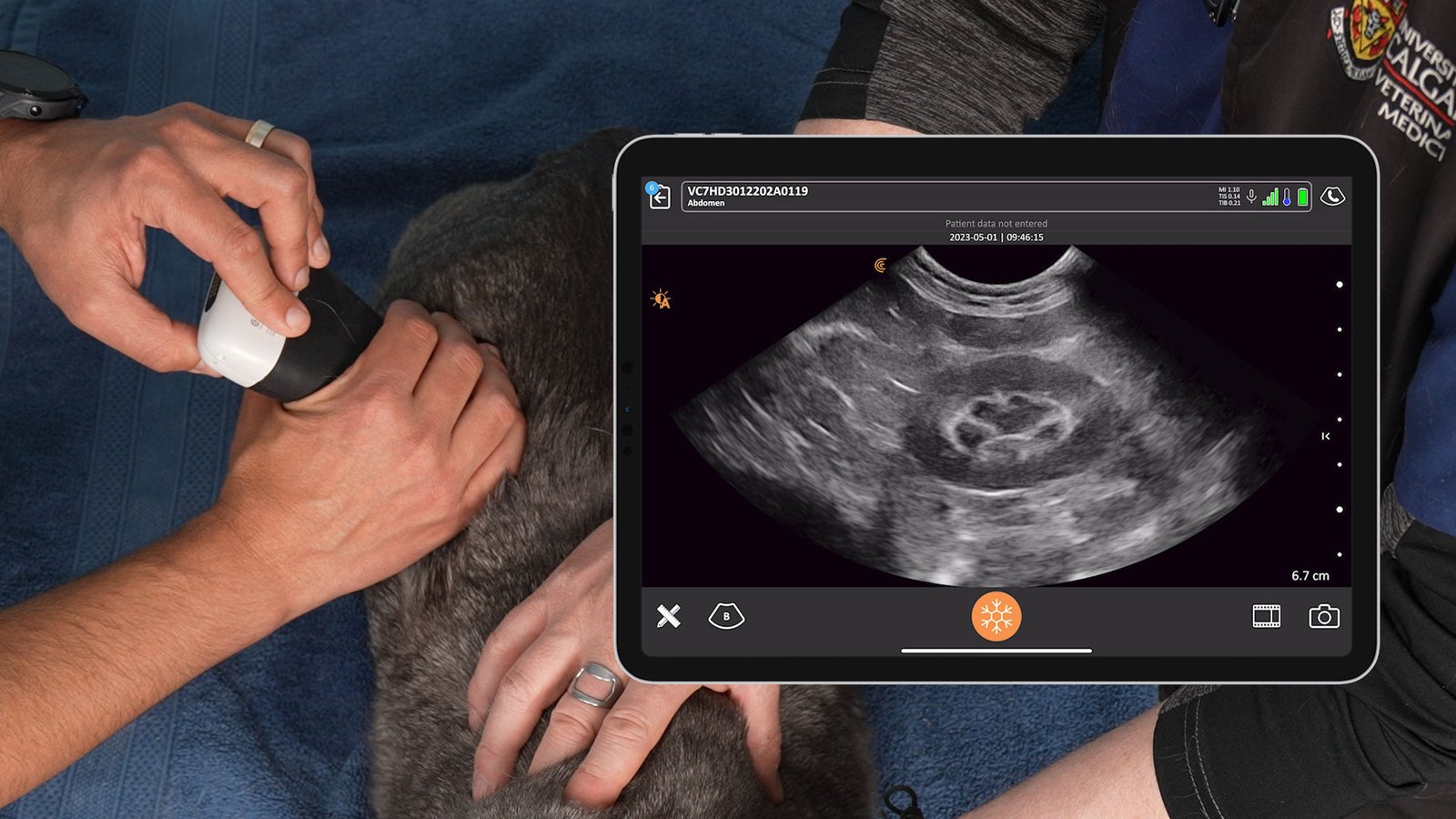 Hand-held veterinary ultrasound system C7 HD3 Vet image 7