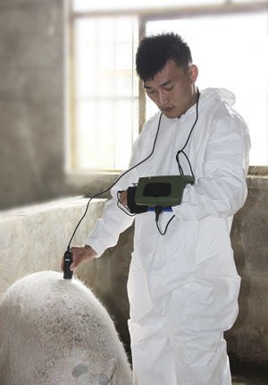 Hand-held veterinary ultrasound system MSU1 PLUS image 5