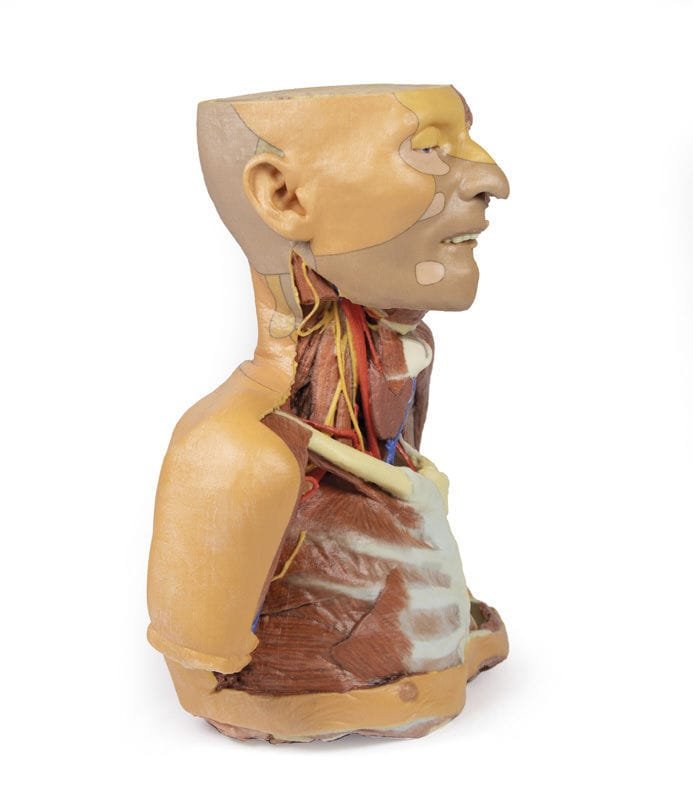 Head model MP1250 image 3