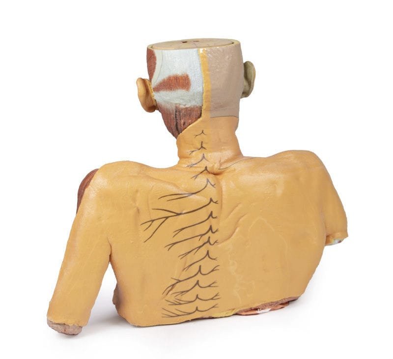 Head model MP1250 image 4