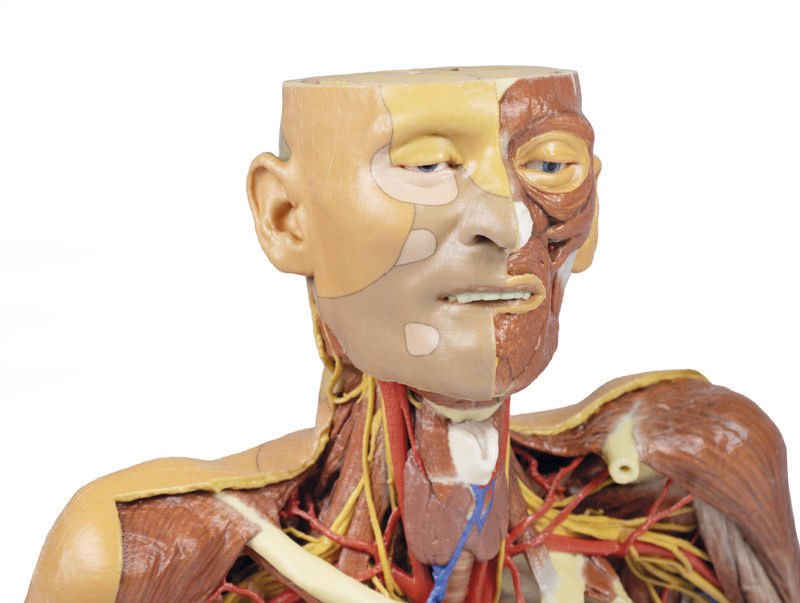 Head model MP1250 image 6