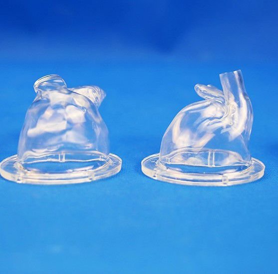 Heart model PLXG1012 image 6