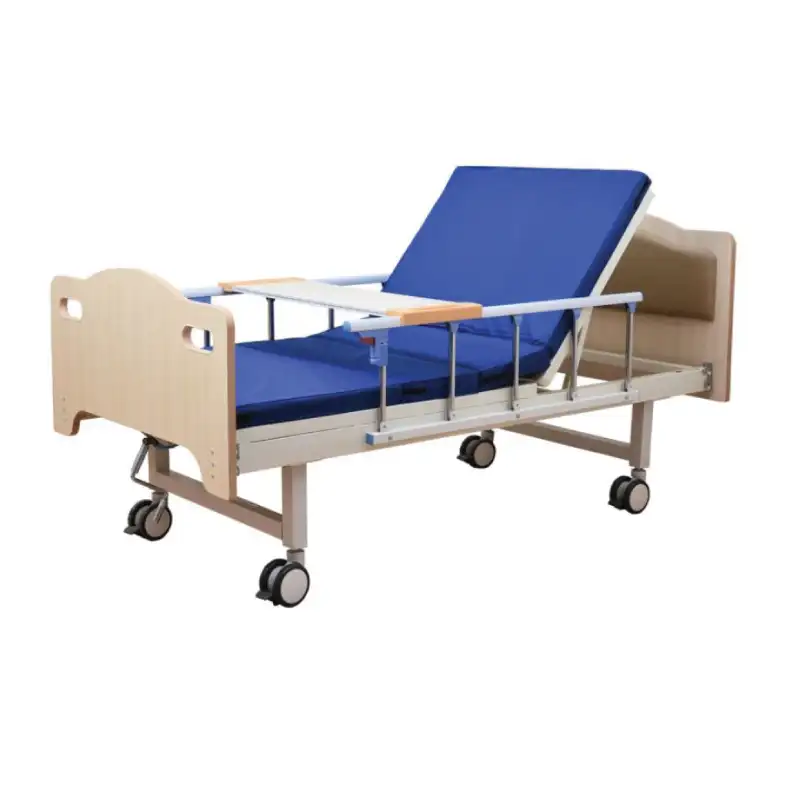 Anatomy Model Price In Mirpur Khas