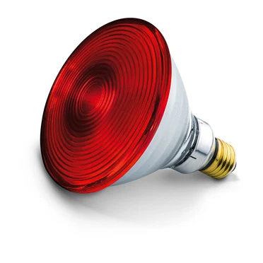 INFRARED LAMP - BEURER IL-21 alternate view image 2