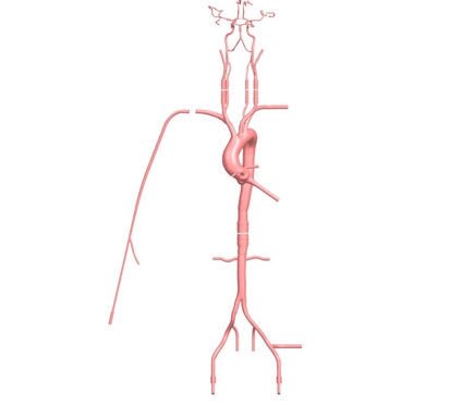 Intracranial anatomical model PLSJXG001A image 4