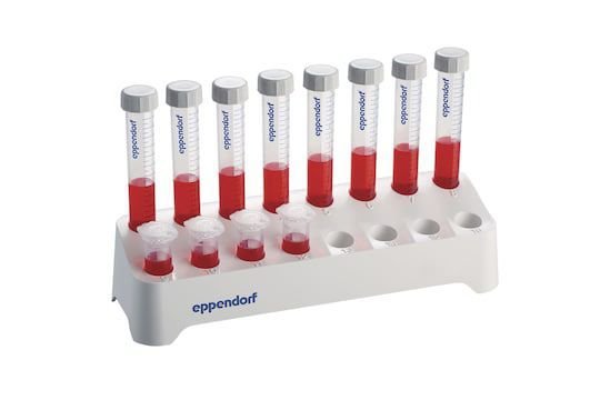 Laboratory test tube 0030122 series image 6