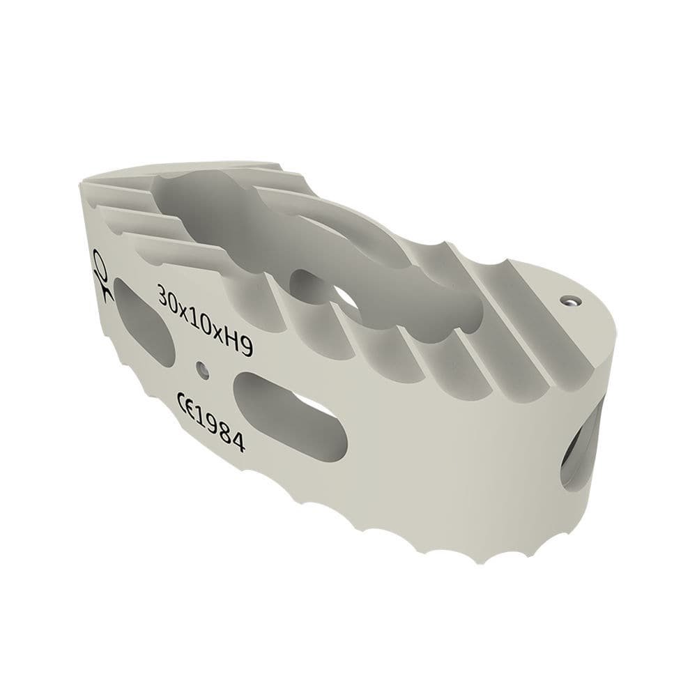 Lumbar interbody fusion cage TALOS