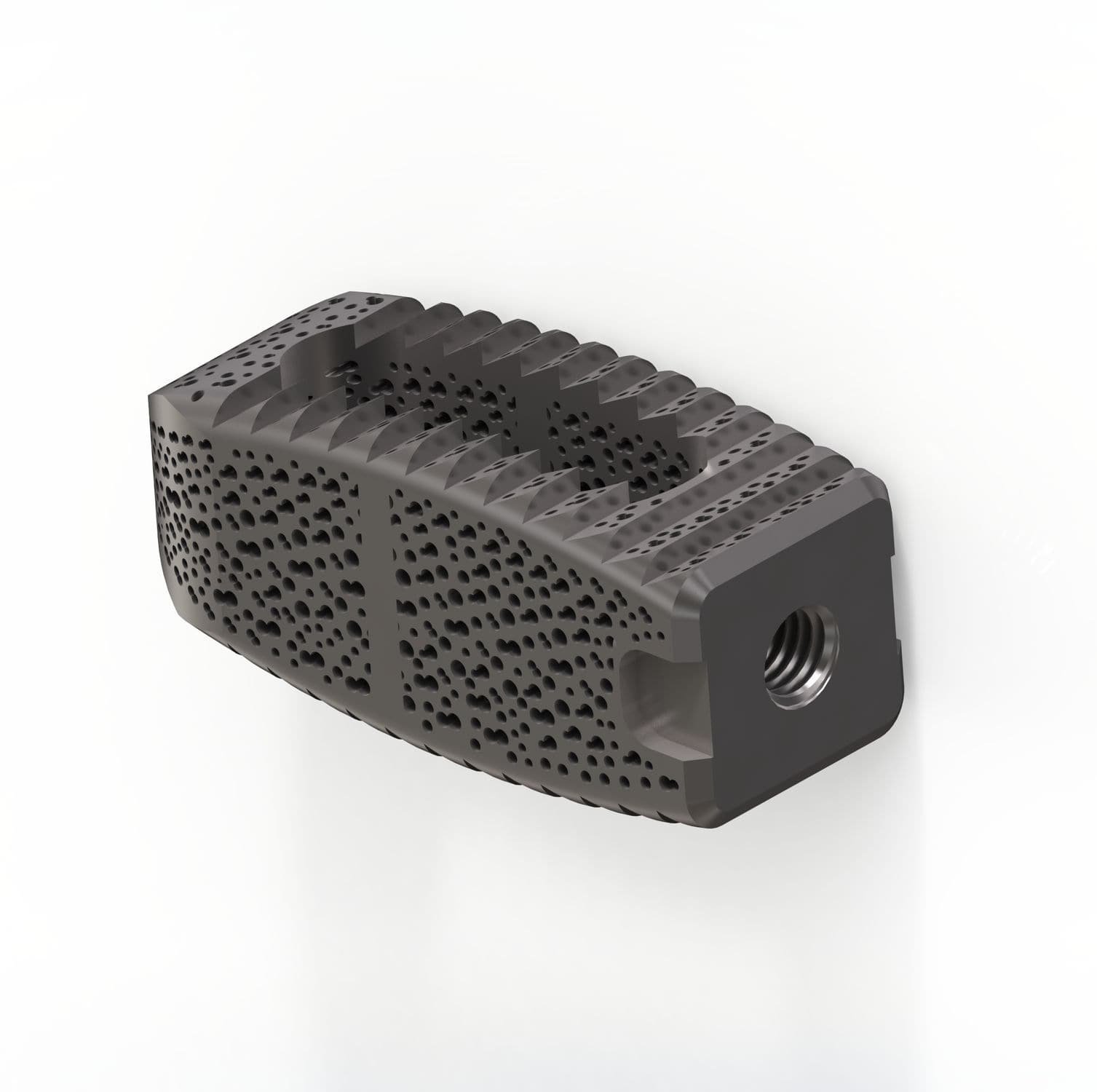 Lumbar interbody fusion cage TERRACOTTA PLIF